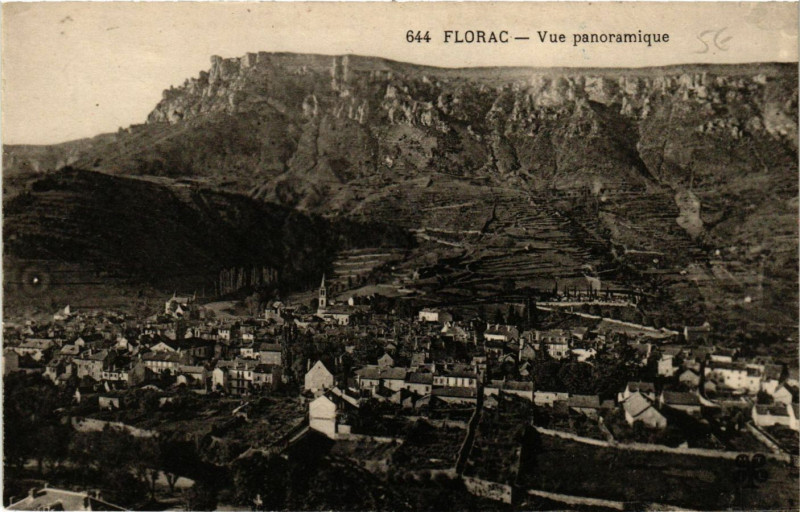 Carte postale ancienne Florac - Vue Panoramique