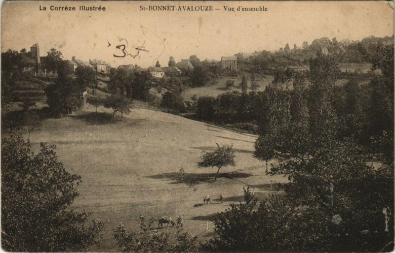 Carte postale ancienne Saint-Bonnet-Avalouze vue d'ensemble