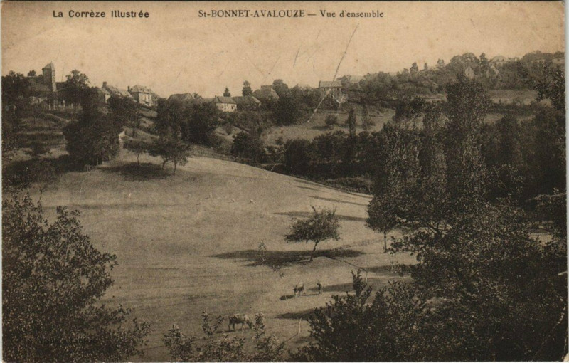 Carte postale ancienne Saint-Bonnet-Avalouze vue d'ensemble