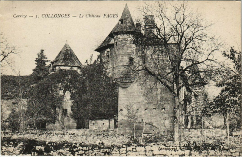 Carte postale ancienne Collonges Chateau Fages
