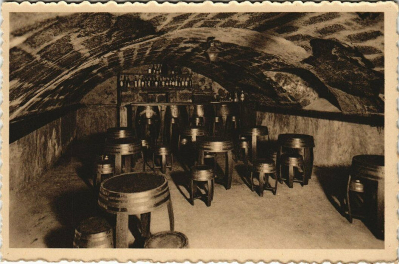 Carte postale ancienne Hotel de la Truffe Noire - Brive