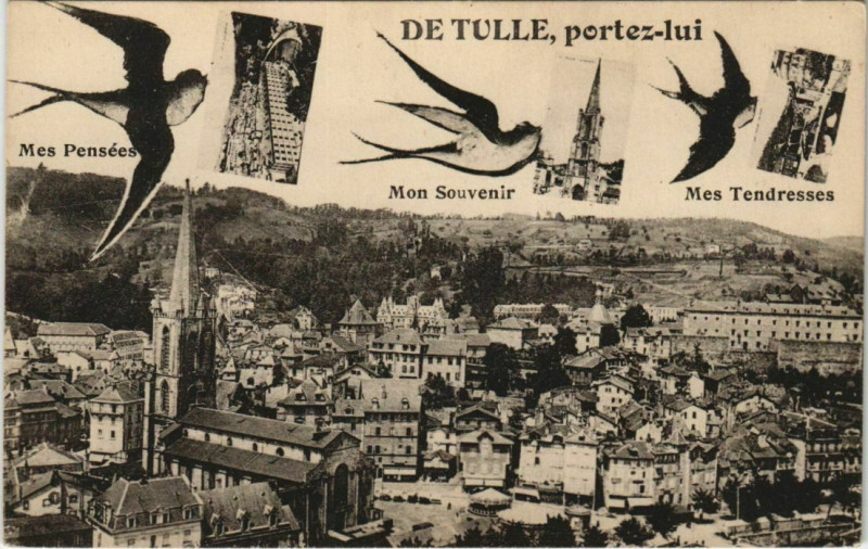 Carte postale ancienne Souvenir de Tulle France à Tulle