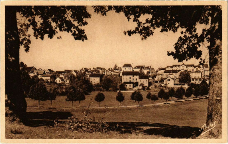 Carte postale ancienne Neuvic-d'Ussel - Vue Generale à Neuvic