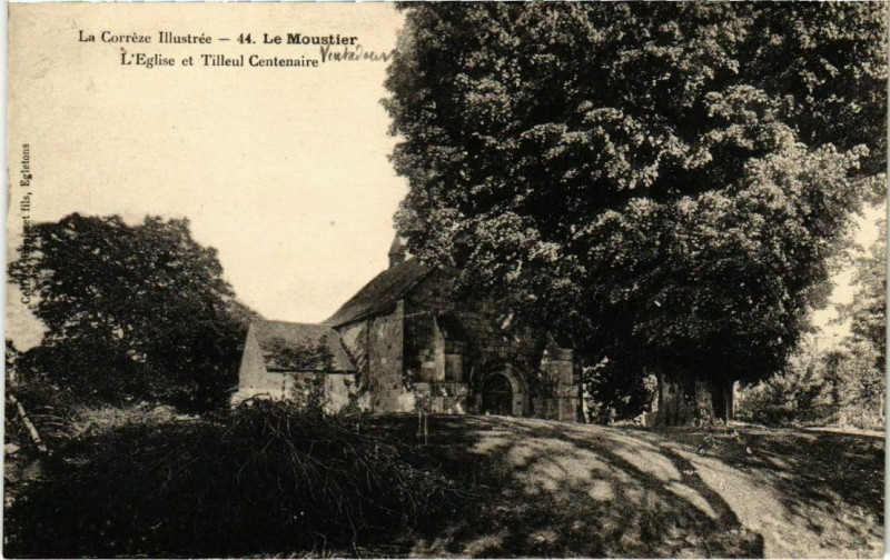 Carte postale ancienne Le Moustier - L'Eglise et Tilleul Centenaire