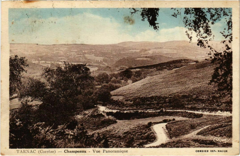 Carte postale ancienne Champeaux - Vue Panoramique