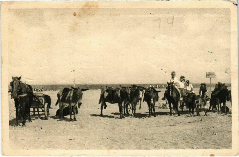 Carte postale ancienne Riva-Bella