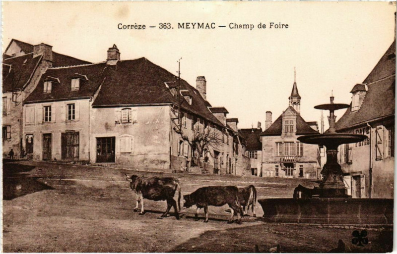 Carte postale ancienne Meymac - Champ de Foire à Meymac