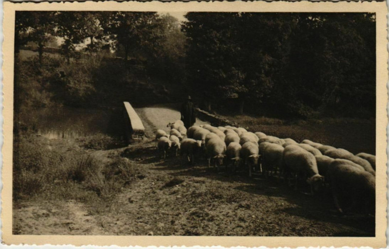 Carte postale ancienne Photo on Postcard France