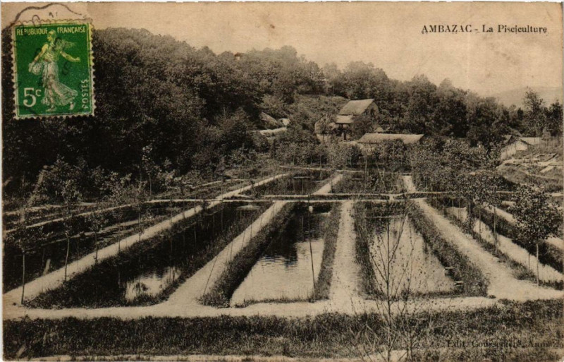 Carte postale ancienne Ambazac La Pisciculture à Ambazac