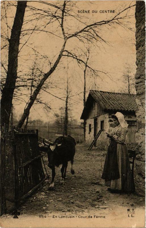 Carte postale ancienne En Limousin - Cour de Ferme