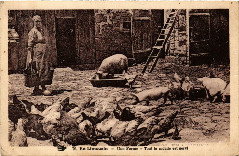 Carte postale ancienne En Limousin - Une Ferme - Tout le monde est servi