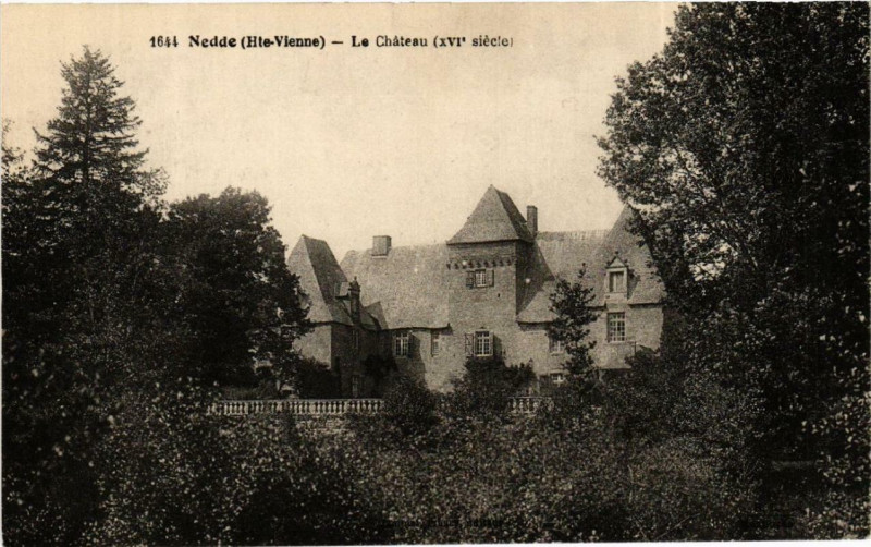 Carte postale ancienne Nedde Le Chateau à Nedde