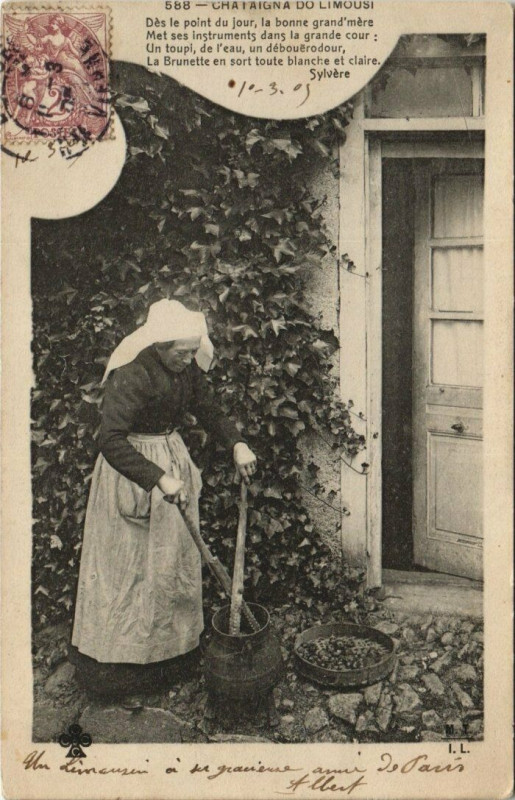 Carte postale ancienne Chataigna do Limousi