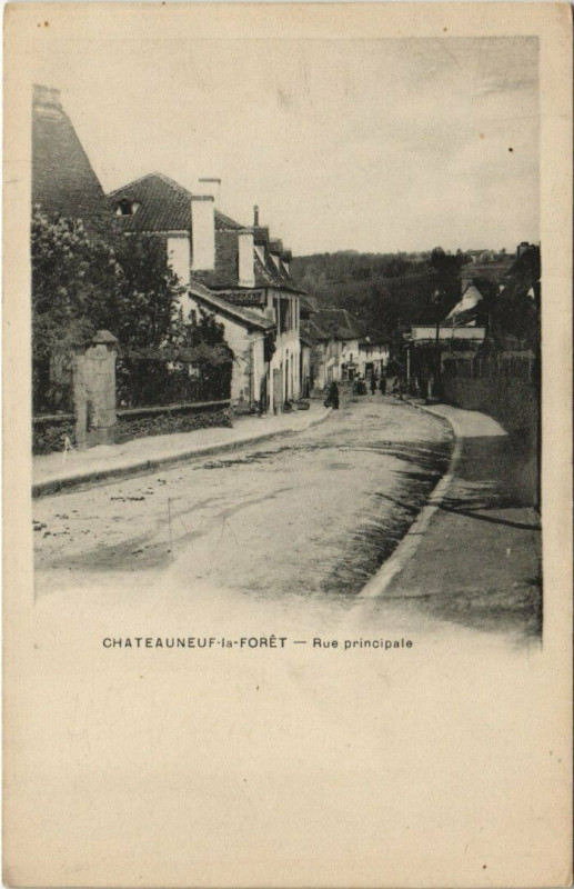 Carte postale ancienne Chateauneuf-la-Foret - Rue principale à Châteauneuf-la-Forêt