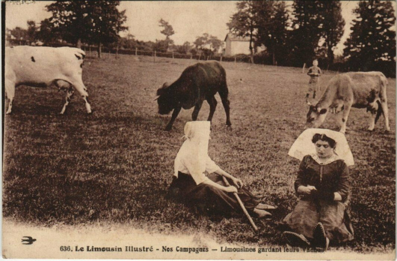 Carte postale ancienne Env. de Limoges Ruines du Chalucet et Tour Jeannette à Limoges