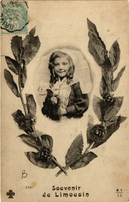 Carte postale ancienne Souvenir du Limousin