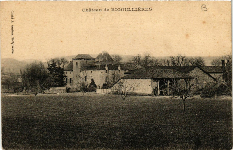 Carte postale ancienne Chateau de Rigoullieres