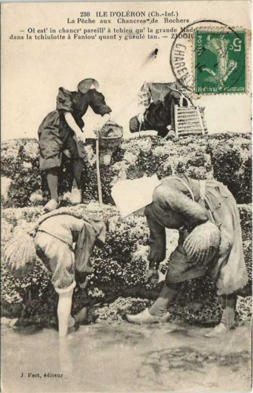 Carte postale ancienne Ile d'Oléron - la peche aux chancres de Rochers