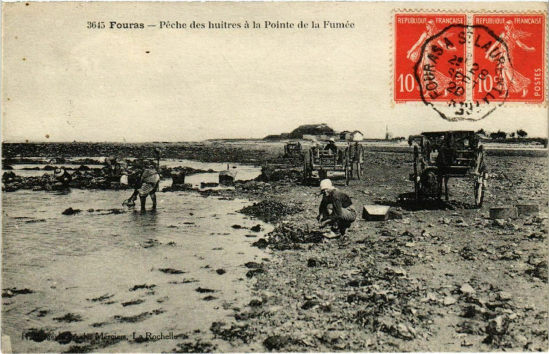 Carte postale ancienne Fouras - Peche des huiters a la Pointe de la Fumee à Fouras