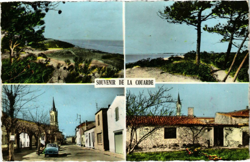 Carte postale ancienne Ile-de-Re - La Couarde - Les Dunes devant le Bois Henri Iv à Bois