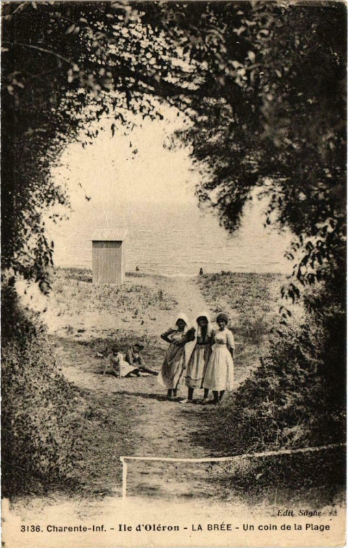 Carte postale ancienne Ile d'Oleron - La Bree