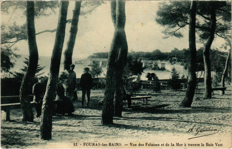 Carte postale ancienne Fouras-les-Bains - Vue des Falaises et de la Mer a travers le Bois à Bois