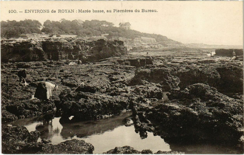 Carte postale ancienne Environs de Royan - Maree basse au Pierrieres du Bureau à Royan