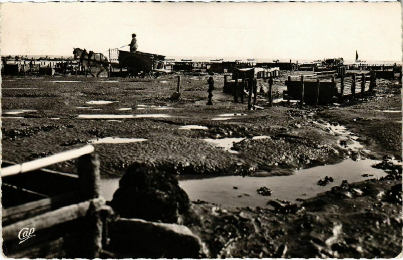 Carte postale ancienne Chatelaillon - Les Bouchouters