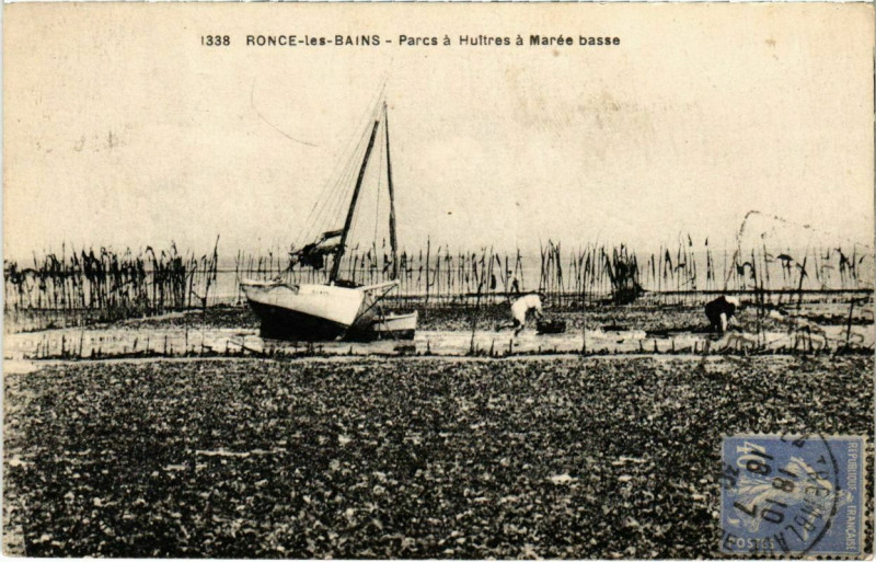 Carte postale ancienne Ronce-les-Bains - Parcs a Hultres a Maree basse