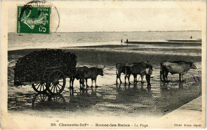 Carte postale ancienne Ronce-les-Bains La PLage