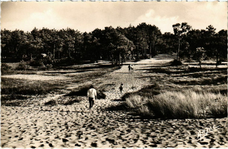 Carte postale ancienne Ile D'Oleron - Allee de La Gautrelle