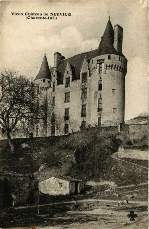 Carte postale ancienne Vieux Chateau de Neuviq (Charente-Inf.)