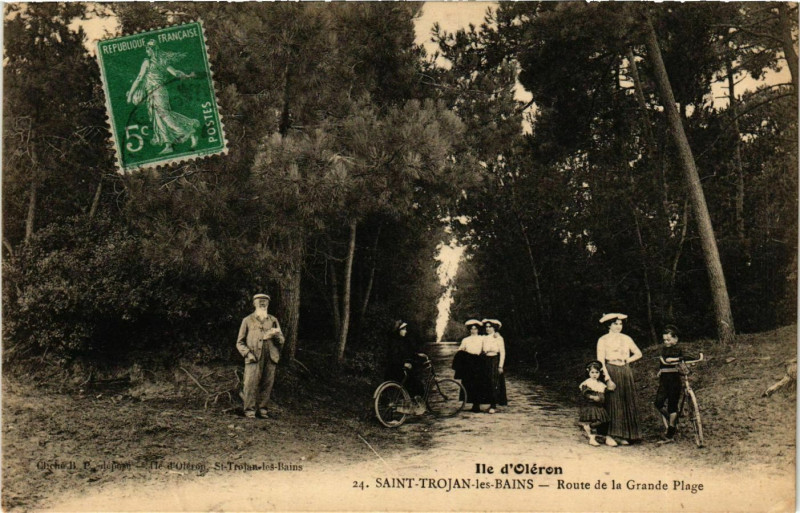 Carte postale ancienne Ile d'Oleron - Saint-Trojan-les-Bains - Route de la Grande Plage à Saint-Trojan-les-Bains
