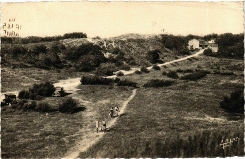 Carte postale ancienne Ile d'Oleron - Domino - Les Dunes