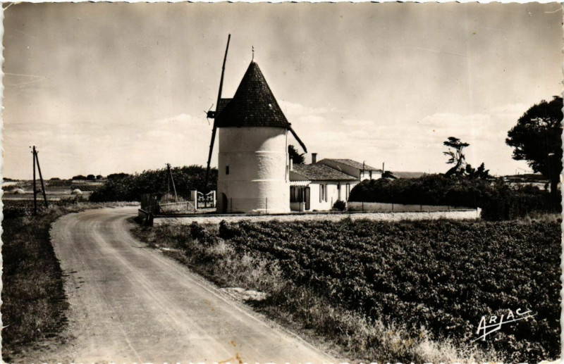 Carte postale ancienne Ile d'Oleron - Le Moulin de la Brée