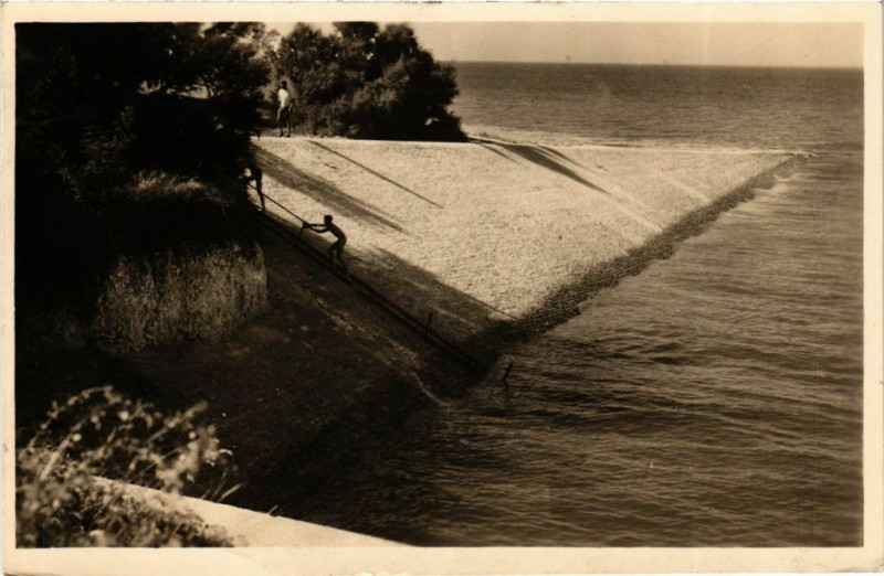 Carte postale ancienne La Brée - Ile d'Oleron (Ch.-Mer)