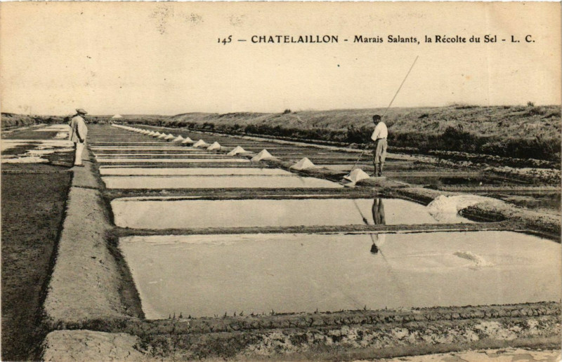 Carte postale ancienne Chatelaillon - Marais Salants la Récolte du Sel
