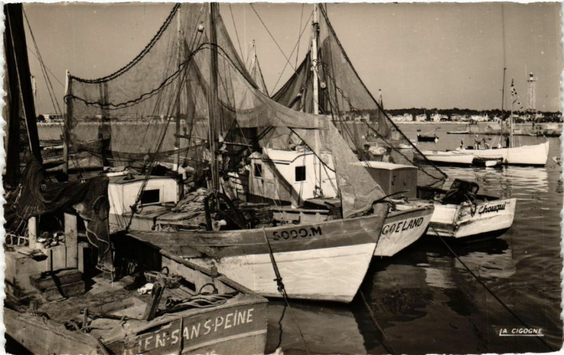 Carte postale ancienne Royan - Bateaux de peche à Royan
