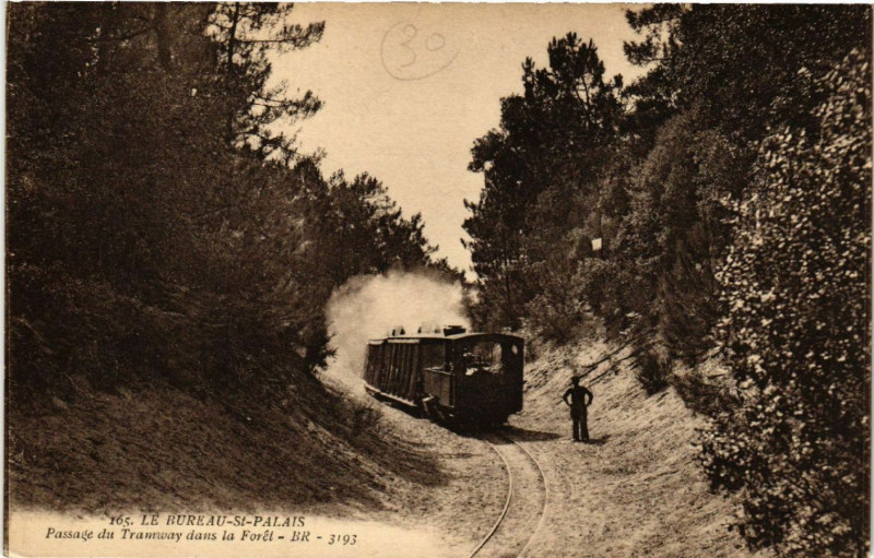 Carte postale ancienne Le Bureau Saint-Palais - Passage du Tramway dans la Foret