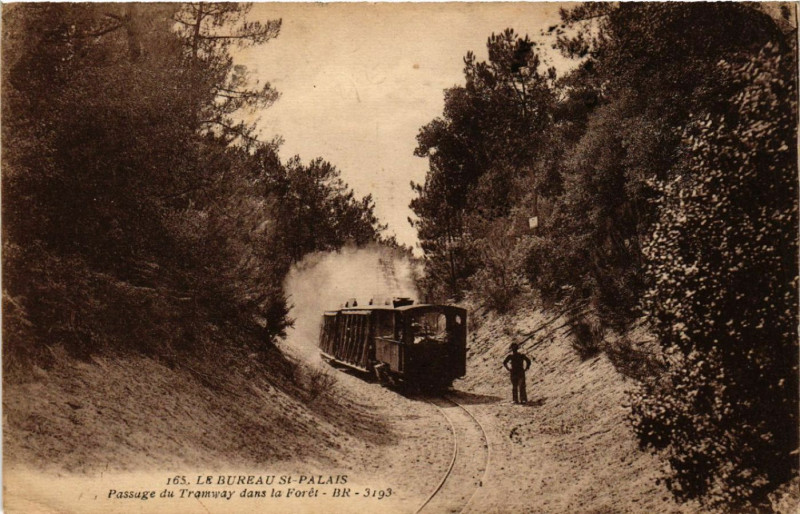 Carte postale ancienne Le Bureau Saint-Palais - Passage du Tramway dans la Foret