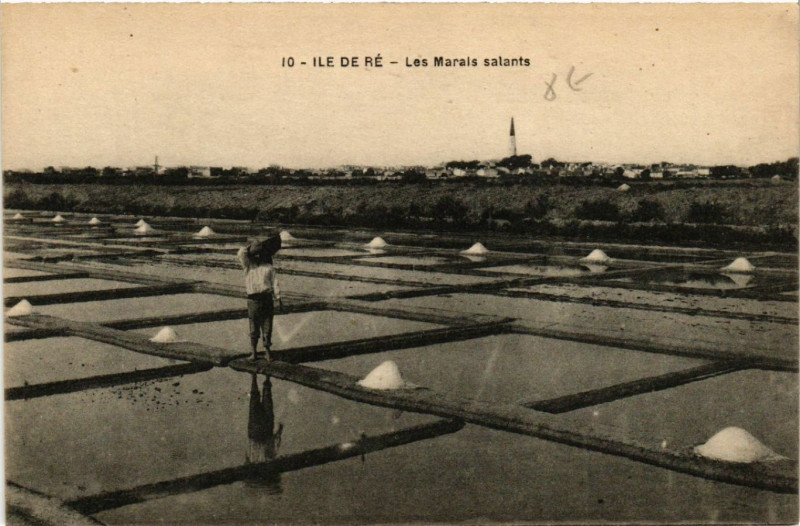 Carte postale ancienne Ile-de-Re - Les Marais salants