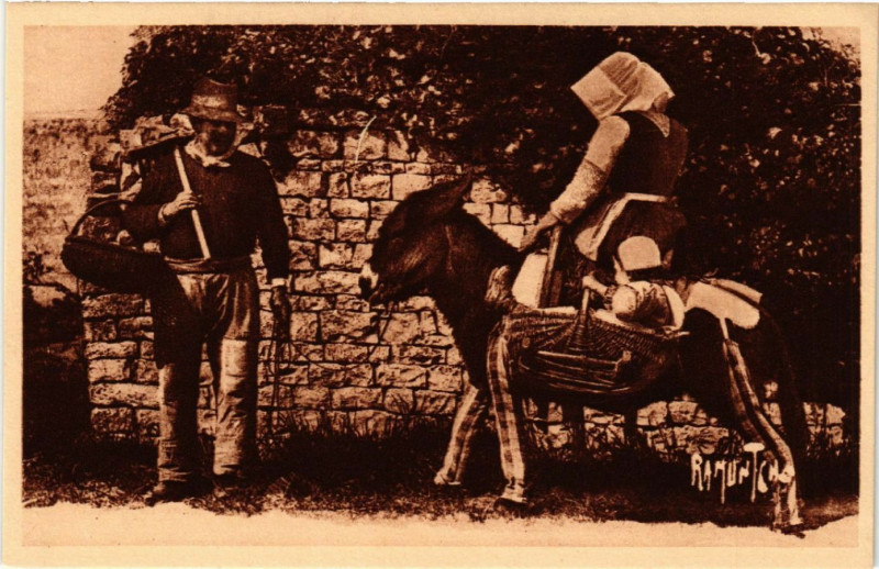 Carte postale ancienne Ile-de-Re - L'Ane en culotte