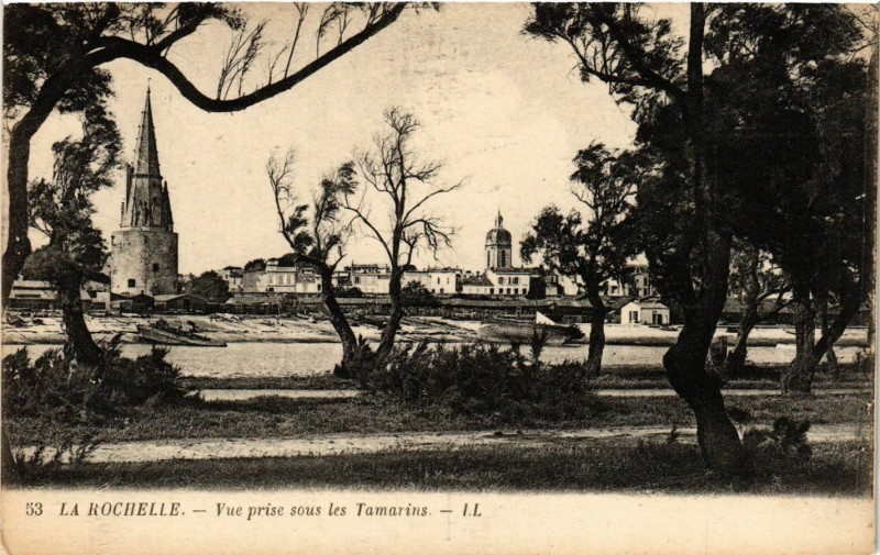 Carte postale ancienne La Rochelle - Vue prise sous les Tamarins à La Rochelle