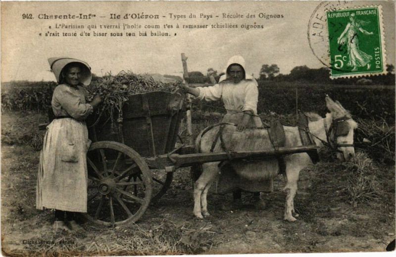 Carte postale ancienne Ile-d'Oleron - Récolte des oignons