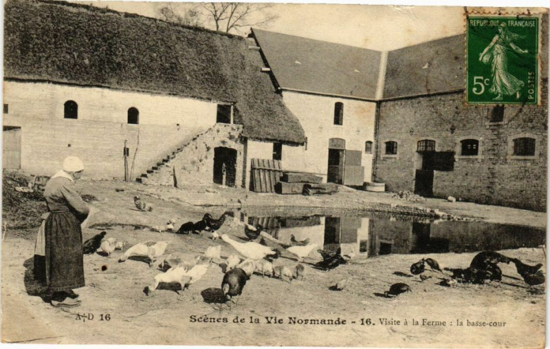 Carte postale ancienne Scene de la Vie Normande - Visite a la Ferme la basse-cour