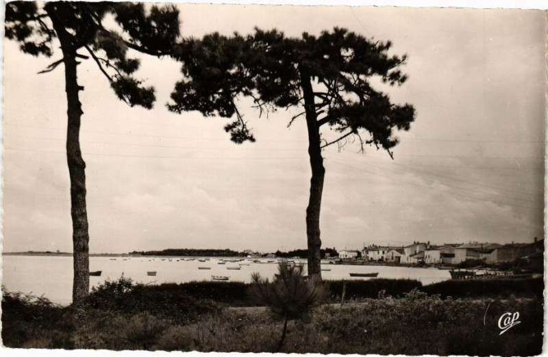 Carte postale ancienne Rivedoux - Vue sur la Baie