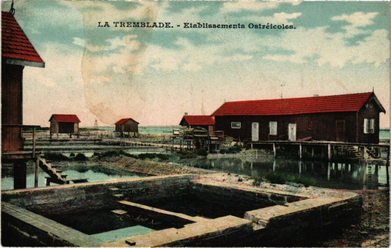 Carte postale ancienne La Tremblade - Etablissements Ostréicoles à La Tremblade