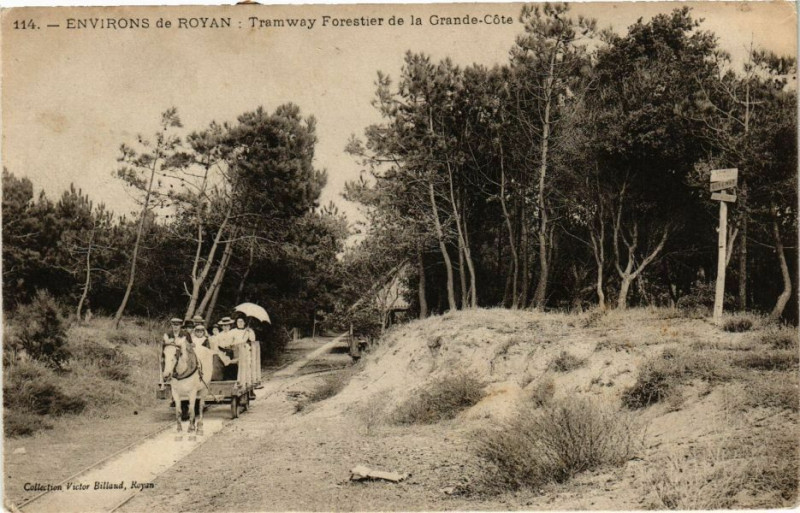 Carte postale ancienne Environs de Royan - Tramway Forestier de la Grande-Cote à Royan