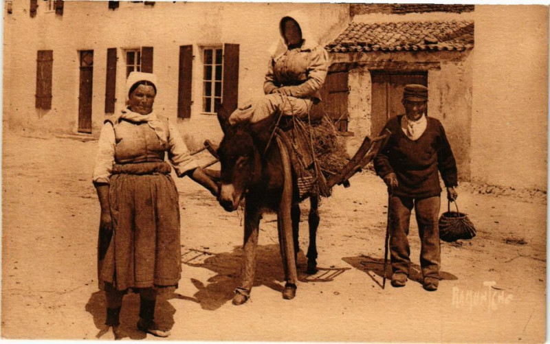 Carte postale ancienne Curiosités de l'Ile-de-Re - L'Ane en culotte ..