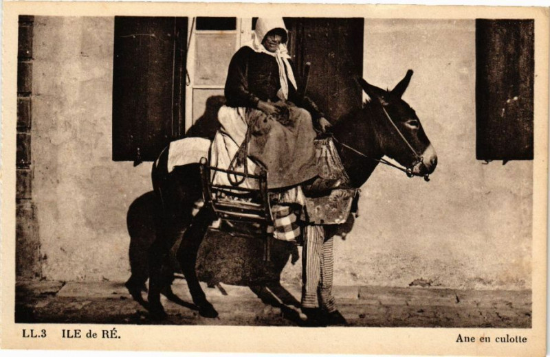 Carte postale ancienne Ile-de-Re - Ane en culotte